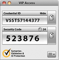 Symantec vpn access download